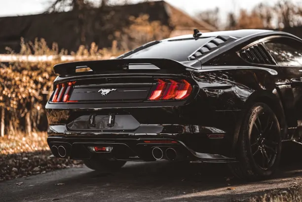 PlaySunny Cazino Cazinou Aplicație Android/iOS